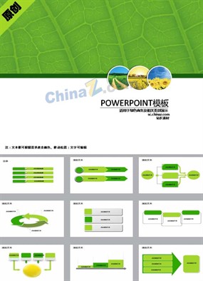 春天踏青ppt模板下载